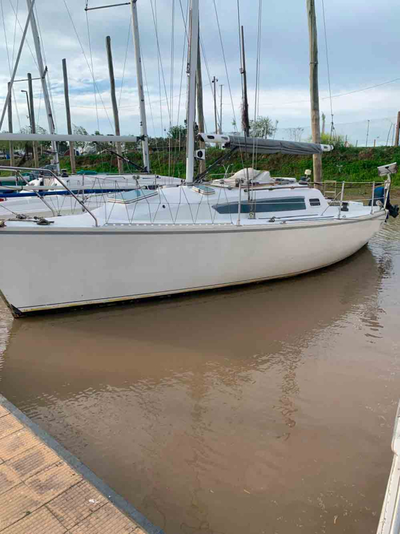 veleros - YATE DE VELA - OPORTUNIDAD - DANGELO 26