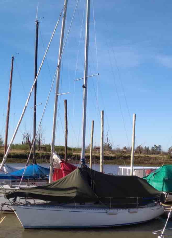veleros - YATE DE VELA  CON MOTOR AUXIL - PANDORA 28