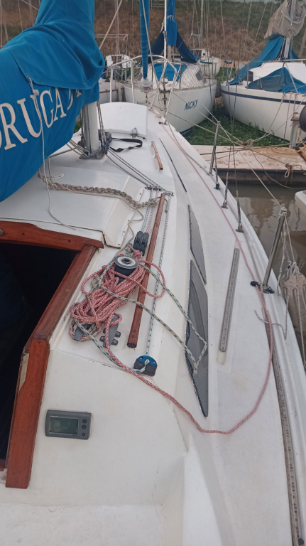 veleros - YATE DE VELA - OPORTUNIDAD - NAUTILUS 810