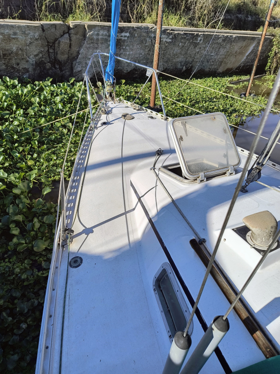 veleros - YATE DE VELA CON MOTOR AUX. - PANDORA 28