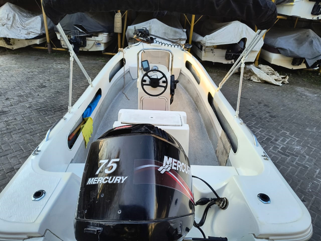 lanchas - TRACKER - TORTOLINI 540