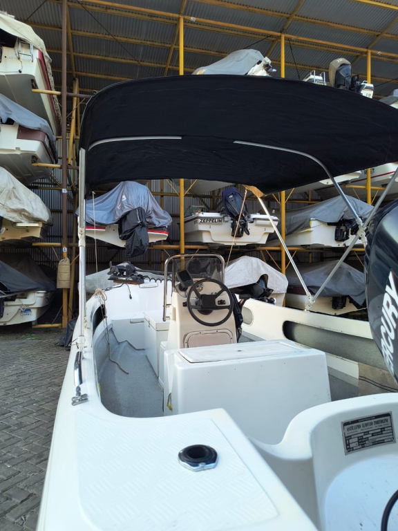 lanchas - TRACKER - TORTOLINI 540