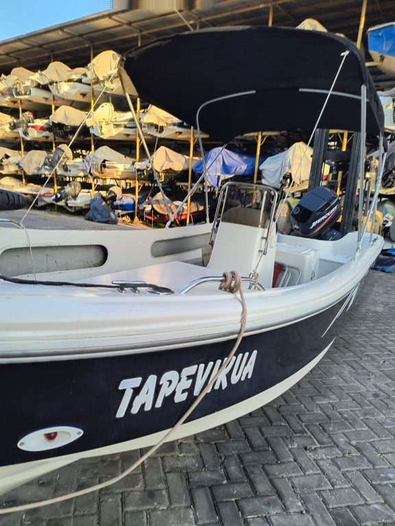lanchas - TRACKER - TORTOLINI 540