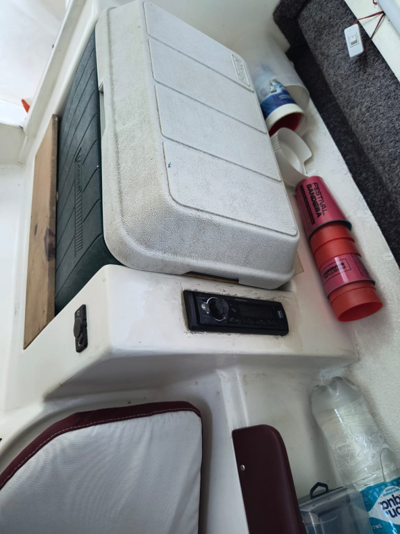 cruceros - DAYCRUISER - FISH CABIN 600