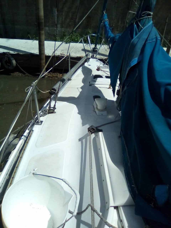 veleros - YATE DE VELA - OPORTUNIDAD - ALPHA 25