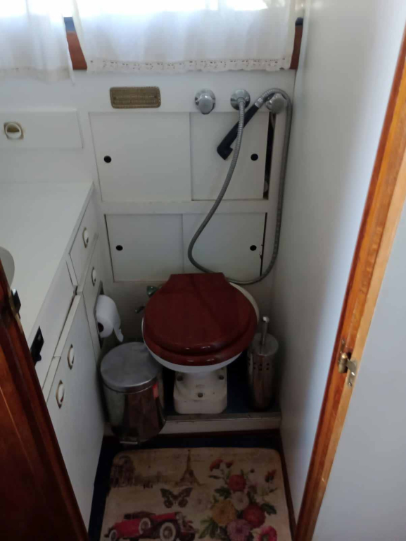 cruceros - YATE MOTOR  - ANDAMAR 1010