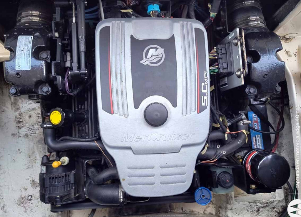 lanchas - LANCHA CUDDY - CANESTRARI 215