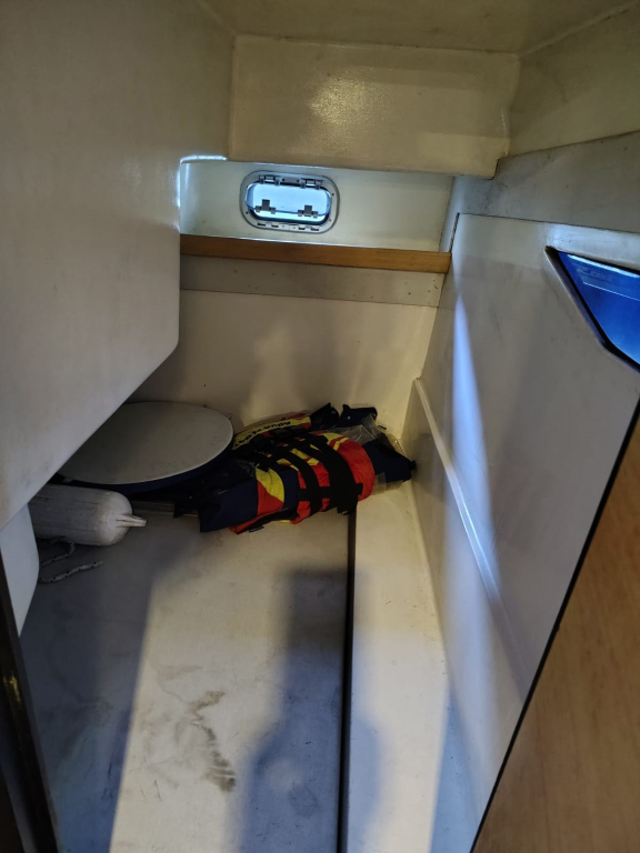 cruceros - YATE MOTOR OPEN - GENESIS 290