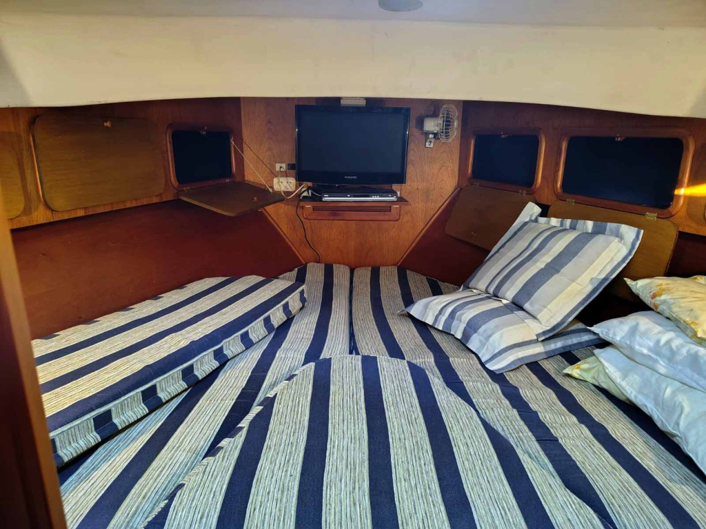 cruceros - YATE MOTOR  - SKIPPER EXPRESS
