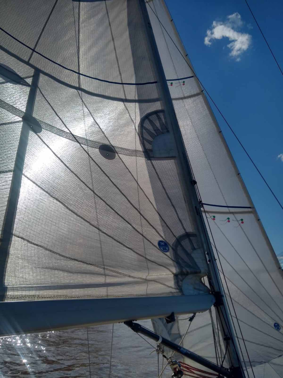 veleros - YATE DE VELA  - CONTE 24